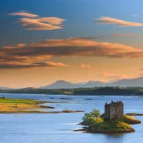 The Sounds of Mull and Linnhe Wildlife Cruise