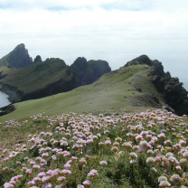 A Guided Wildlife Tour to St Kilda and the Outer Hebrides