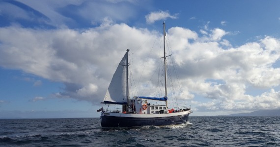 cruises around western isles